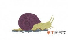 蜗牛属于野生动物保护吗，蜗牛是野生动物吗