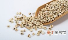 哪里适合种植薏米，薏米怎样种植技术