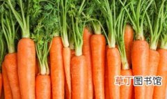 胡萝卜水培方法 胡萝卜水培方法是什么