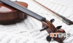 violin怎么读 violin的读音