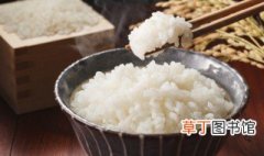 微波炉怎么煮米饭 微波炉如何煮米饭