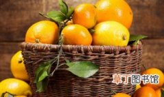 橘子种子怎么种发芽 橘子种子发芽种植方法