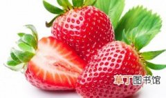 草莓怎么种植盆栽 草莓盆栽种植方法