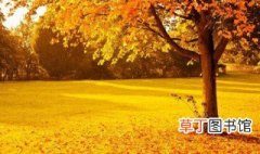 描写秋天景色的句子 描写秋天景色的句子有什么