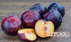黑布林属于凉性水果还是热性水果 吃黑布林的益处介绍
