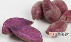 紫薯玫瑰花馒头的家常做法 紫薯玫瑰花馒头怎么做
