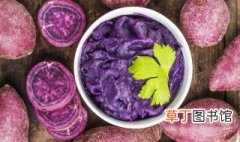 紫薯布丁做法 紫薯布丁怎么做