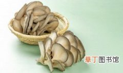 素炒平菇做法 如何做素炒平菇