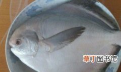 框镜鱼怎么做好吃 框镜鱼如何做好吃