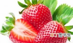 草莓苗培育方法 草莓苗培育方法是什么