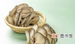 肉炒平菇怎么做好吃 肉炒平菇的烹饪方法