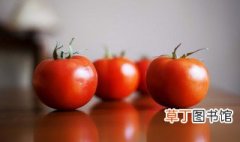 西红柿牛腩怎么做好吃 如何做西红柿牛腩