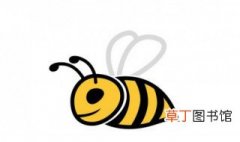 蜜蜂的蜂巢是什么形状 关于蜜蜂的蜂巢是什么形状