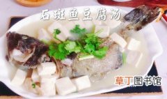 黑石斑鱼怎么做好吃 石斑鱼豆腐汤的烹饪技巧分享