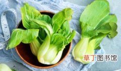 青菜的种植方法 青菜怎么种植