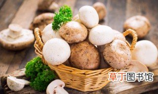 海鲜蘑菇怎么做好吃 怎么做海鲜菇炒肉