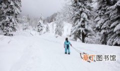 自由式滑雪空中技巧运动员 自由式滑雪空中技巧运动员在无雪