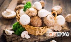 蘑菇饺子馅怎么做好吃 蘑菇饺子馅的做法