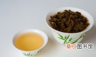 芽孢茶属于什么茶 芽孢茶的介绍