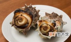 西瓜皮炒海螺的家常做法 西瓜皮炒海螺的烹饪方法