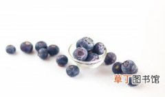 蓝莓苗适合在什么季节种植，蓝莓树苗适合什么时候种