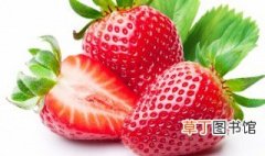 广东草莓适合什么季节种植，广东的天气什么时候适合种草莓