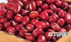 红小豆适合什么季节种植 红小豆什么季节种最好