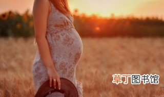 孕妇怀孕几个月吃燕窝最好 怀孕几个月吃燕窝最好