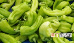 丝瓜青椒怎么做好吃又简单 青椒怎么做好吃又简单
