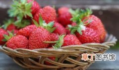 盆栽草莓适合什么季节种植 什么季节种植草莓最好?