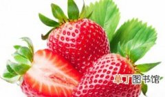 买的草莓怎么保存 草莓保存的方法