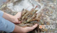小炒河虾的家常做法 清炒小河虾的步骤