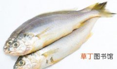 红烧鮸鱼的家常做法 红烧鮸鱼的做法步骤