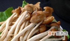 干锅茶树菇的家常做法 干锅茶树菇怎么做