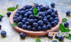 食用蓝莓有什么好处 五大好处需知道
