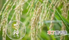广东水稻一年什么时候熟 南方水稻一年几熟时间