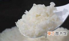 竹香米怎么煮米饭 竹香米煮米饭的方法