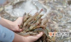 水晶虾能和什么鱼混养 水晶虾和什么鱼能在一起养
