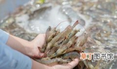 樱花虾可以和斑马鱼混养吗 樱花虾能和什么鱼混养
