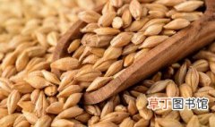 早熟小麦的收割时间 小麦什么时候能收熟