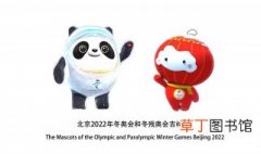 北京2022年冬残奥会吉祥物 北京2022年冬残奥会吉祥物叫什么名字