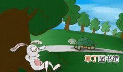 龟兔赛跑 龟兔赛跑是什么