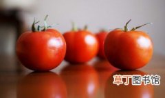西红柿汤面怎么做好吃又简单 西红柿浓汤面怎么做