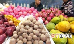 老挝水果特产有哪些 老挝水果特产介绍