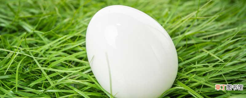 煮熟的鹅蛋可以放几天 煮熟的鹅蛋能放多少天