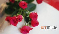 29朵红玫瑰花的花语是什么意思 29朵红玫瑰花的花语
