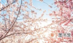 日本樱花什么时候开花大概几月到几月 日本樱花什么时候开花
