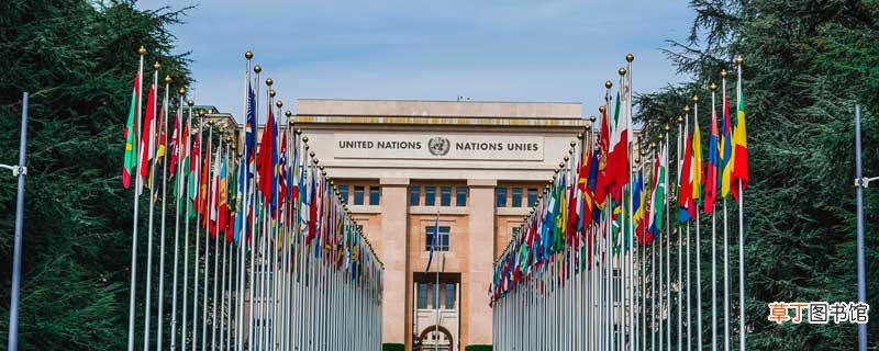 联合国的作用 联合国的作用和意义