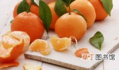 椪柑和橘子的区别 椪柑和橘子的区别简述