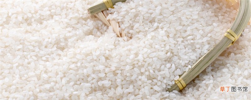 大米的成分有哪些物质 大米的成分有什么